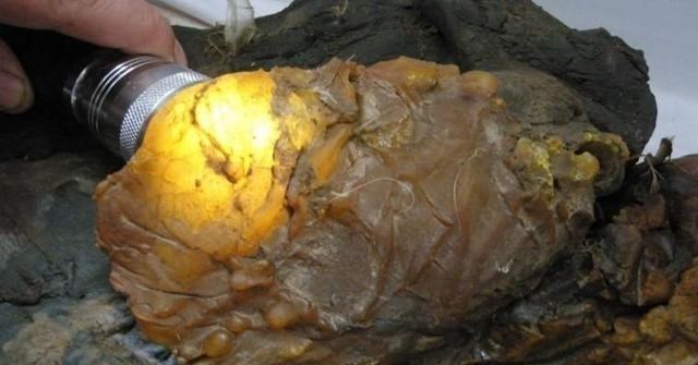 百哥曰|价值百万！太岁究竟是什么，不属于任何生命形式的“怪肉”？