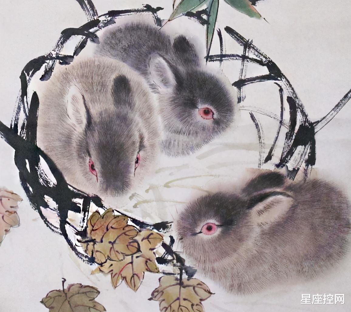 星座控网|四大生肖去年在为五斗米发愁，今年事业丰收，赚得盆满钵满