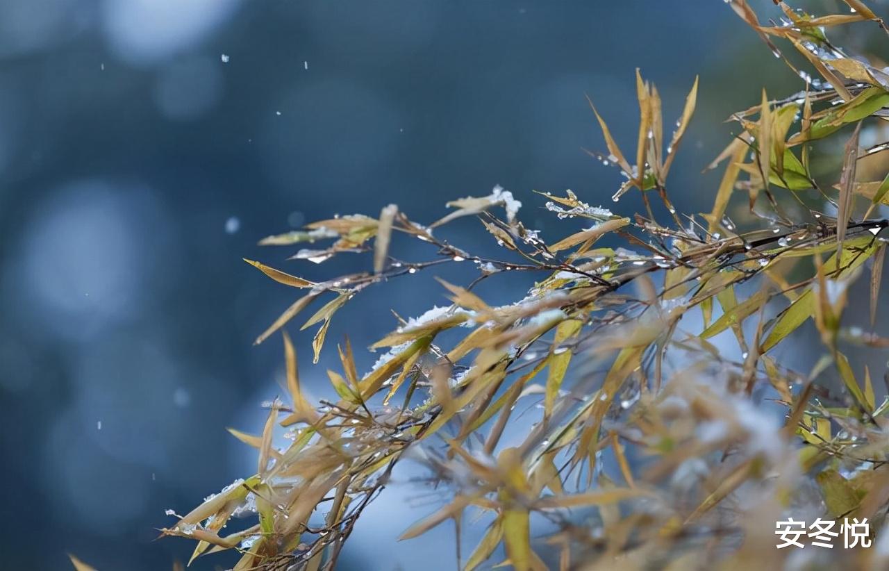 安冬悦 十一月：浅冬细雨飞，恋你永不悔