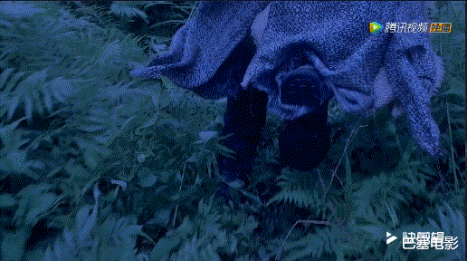 小舞|如坐针毡，如芒刺背，《斗罗大陆》槽点太多，笑到数不过来