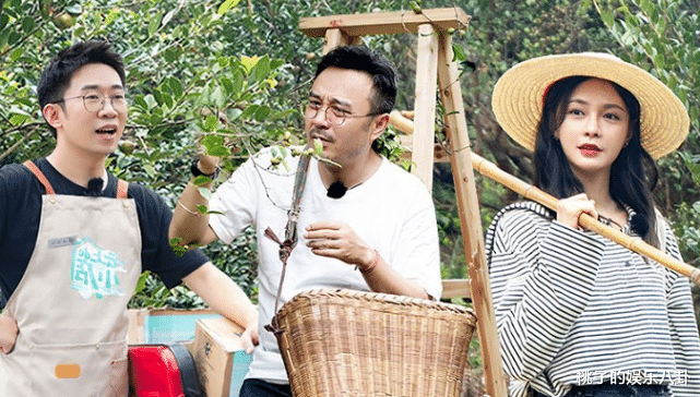 张艺兴|杨迪曾因丑被阻止上台领奖，《快本》、《天天》整改，他考证成赢家