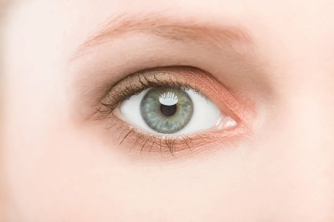 瓢虫 你真的了解你的眼睛吗？关于眼睛，你不知道的那些事！
