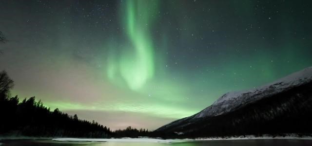 北极 北极“高烧”不断，史前生物遗骸接连出现，冰层下的病菌或将苏醒