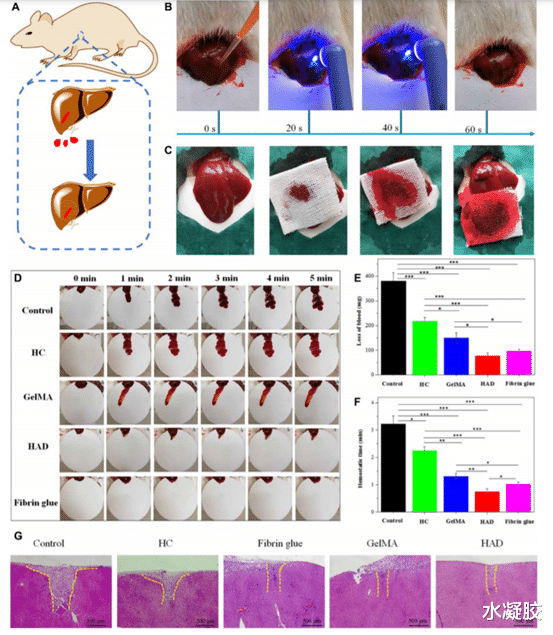 《Science子刊》第三军医大学罗高兴:可见光交联的载有蛇提取物的止血生物粘附凝胶