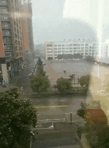 动物庄园|给你一个亿，让你做一天倒霉的人，你愿意吗？