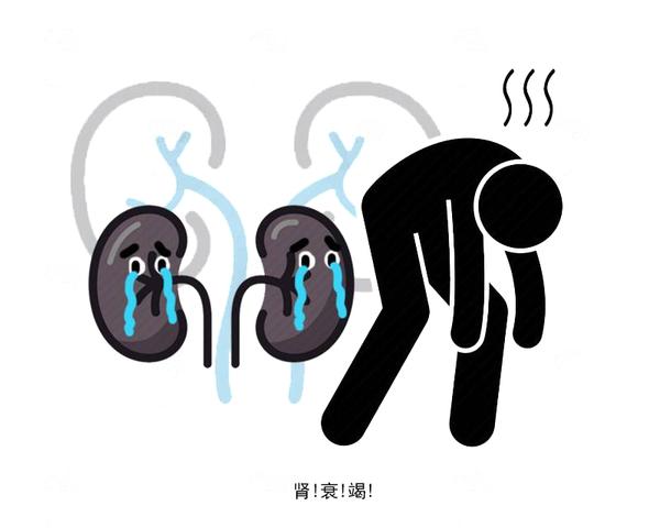 失眠|尿毒癥患者為何會貧血？它與血液透析有關？不妨聽聽醫生怎么說！