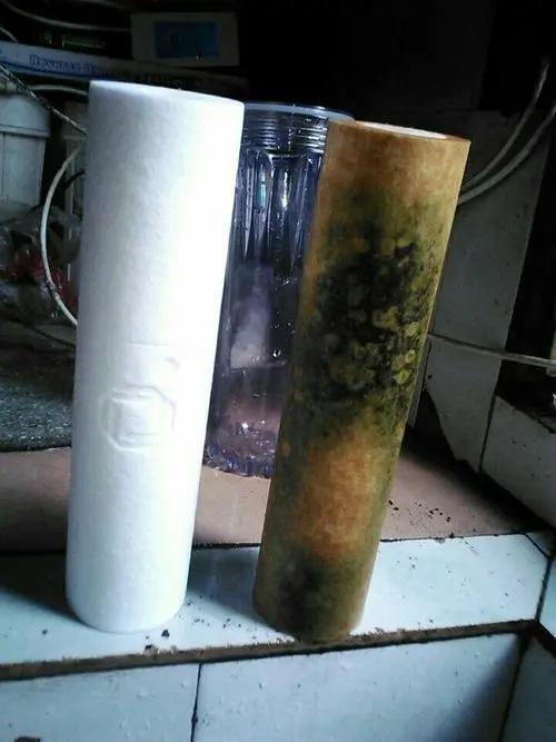 生活水学|夏日净水器维护攻略，这几点一定要注意！