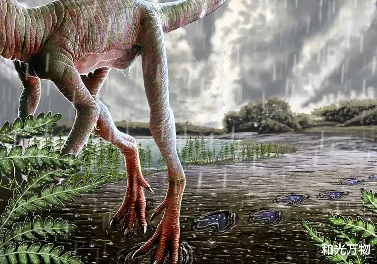  一场绵延200万年的雨，将恐龙送上王位，类似情况未来还会发生吗