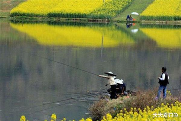 我的世界|春季钓鱼分3个阶段，每个阶段技巧都不相同，抓住规律才有好收获