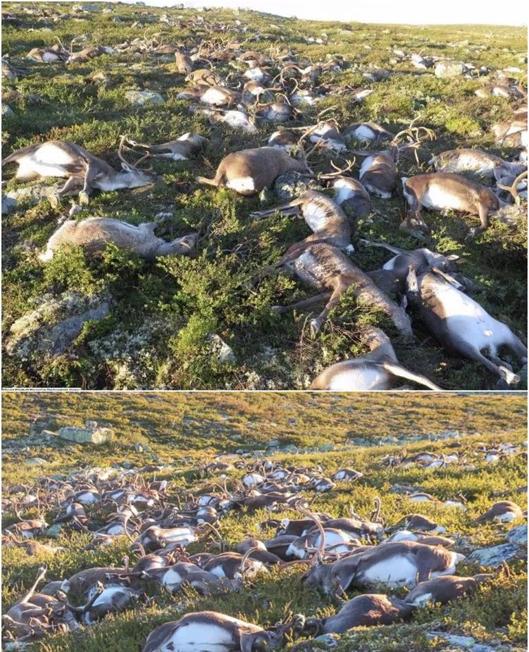 火山喷发 17个让人震撼的自然界真实场景，最后那座房屋是真实的吗？