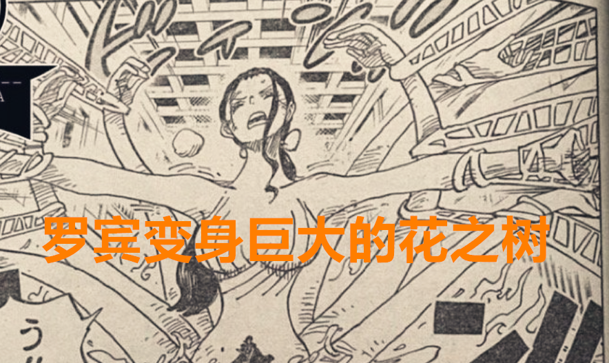 海贼王|海贼王1021话：罗宾秒变翼龙打败了玛丽亚，第五个时间系果实登场