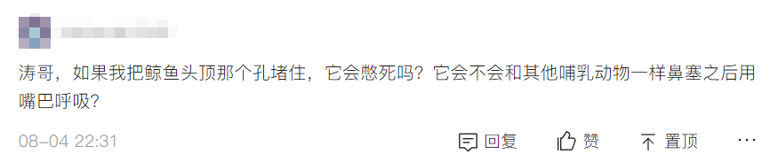虎鲸 虎鲸是社会群居动物，如果人把鲸王打败了，剩下的会听指挥吗？