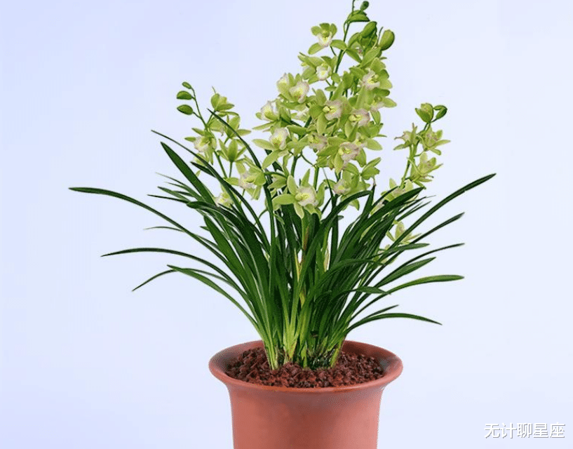 高峰|下周，积极进取、足够耀眼的4个星座，抓住机会，攀向高峰