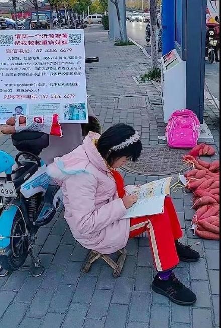 10岁女孩摆摊卖红薯救患白血病妹妹