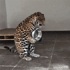  女生夏天还是少穿白色衣服出行吧，遇到下雨天打湿了真的很尴尬