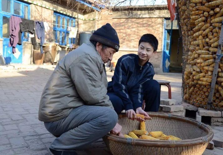 教师|越贫穷的家庭，似乎越希望子女做这些工作，很真实的规律