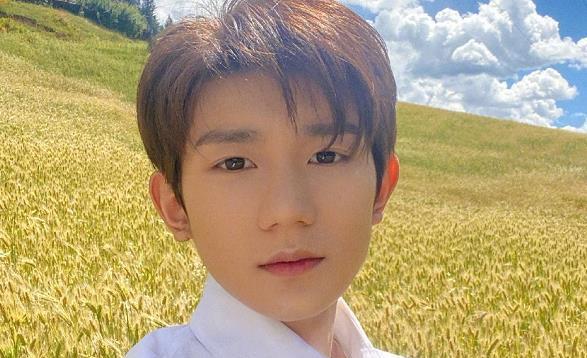 王源|王源拥有“铁饭碗”，新身份考察三年才公开，比当明星光荣多了