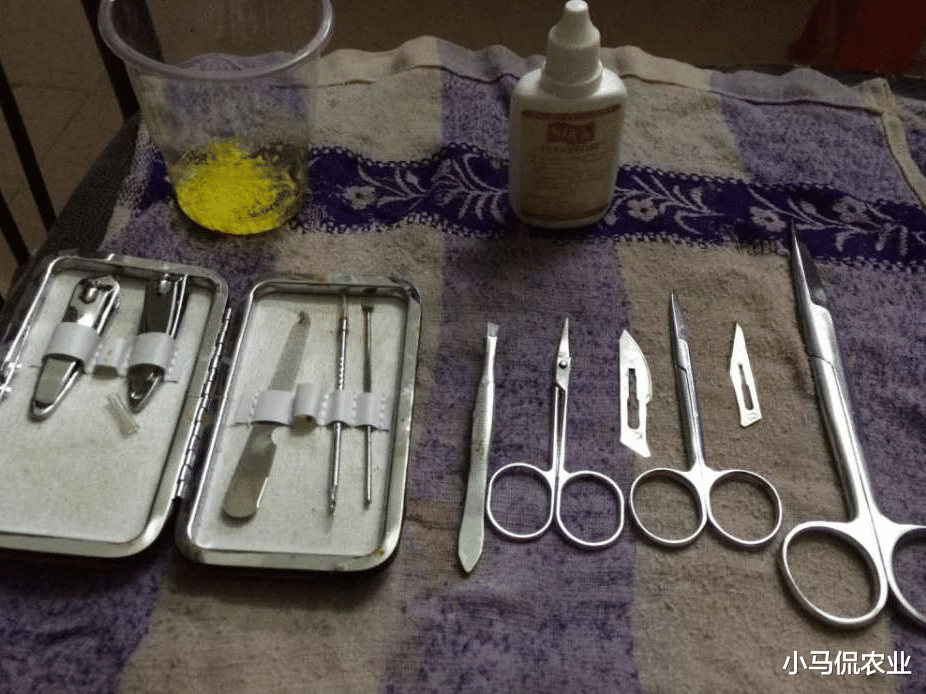 化妆品 小哥兼职给鱼做“美容”10分钟挣1千，一不留神倾家荡产，你敢吗