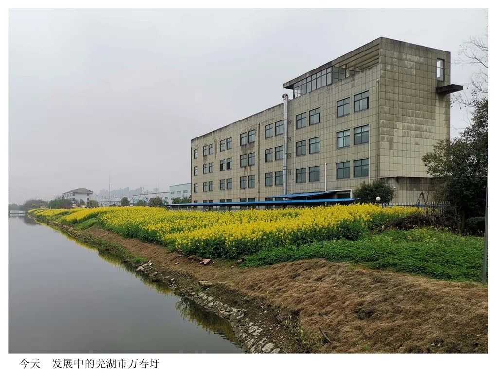 蓝鹰书画 画家杨林：“万顷春波”创作有感