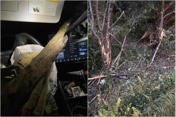 伊隆·马斯克 车主感谢马斯克！特斯拉Model3翻覆撞毁人没事