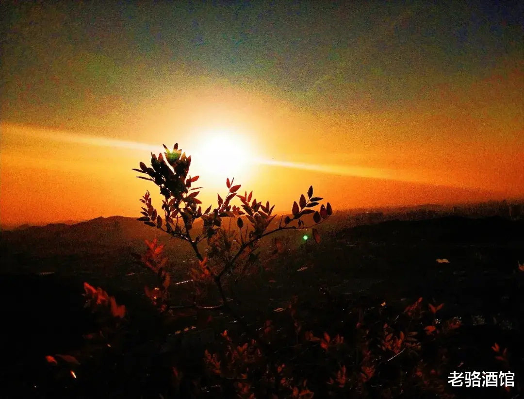 老骆酒馆|其实，依然想你，依然念你，依然爱你……