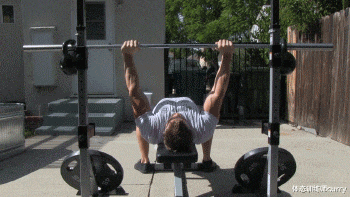 高血脂|“练胸之王”—卧推的10种最佳变式