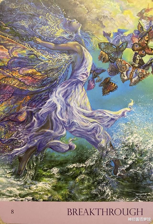 神叨酱塔罗馆 日运:11.8心灵运势指引