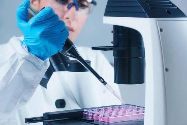 海外资金 中国一年进口3366亿，90%市场被外资垄断，国产造不出山寨版