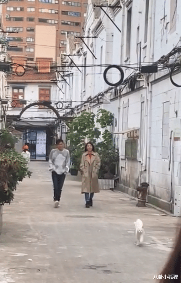 赵丽颖|谢霆锋高圆圆合体录节目，41岁高圆圆甜笑不止，生图超美