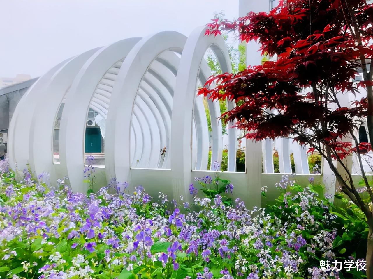 教师|曾军良：推进新时代人才强校战略 创建魅力教育普适品牌