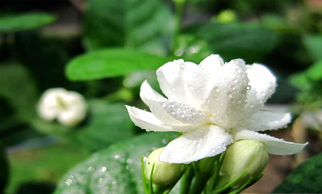 星座神巫|揭秘：十二星座身上哪个部位最迷人，我最喜欢天蝎，你呢？