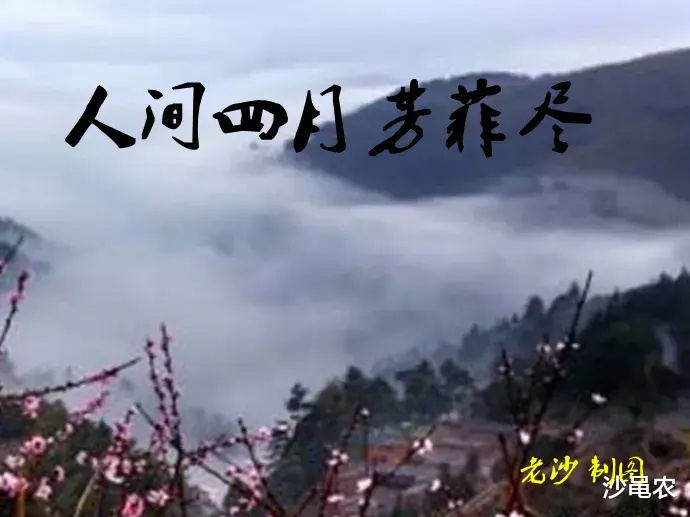 股市 04.29股市早8点丨五成仓“不劳动”过五一