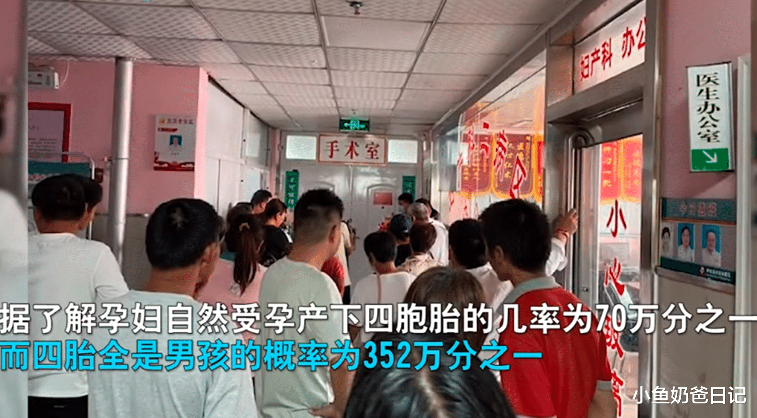 小鱼奶爸日记|河南孕妇自然受孕生下四胞胎男孩，取名“梵荣昌晟”，养育压力大