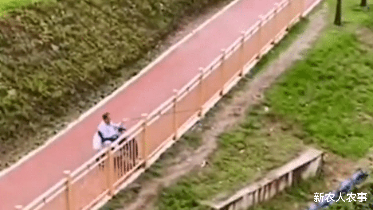 大爷|重庆一男子坐轮椅钓鱼，意外创造了医学奇迹，网友：大爷就是大爷