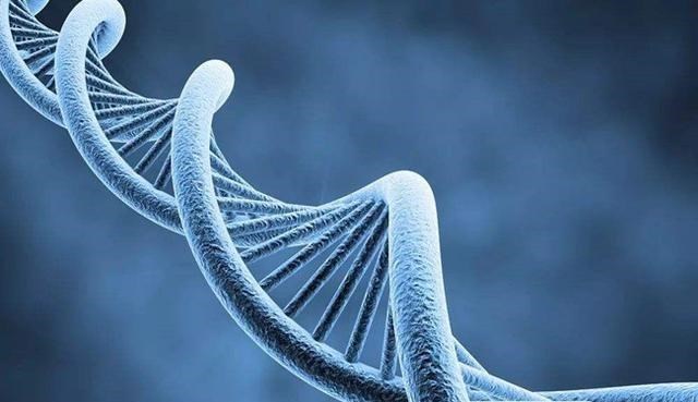 科学家 万物相生又相克，病毒有无克星，快来了解