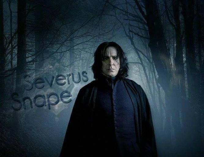 王思聪|王思聪与网红过万圣节？COS斯内普教授翻车，被指像地主家傻儿子