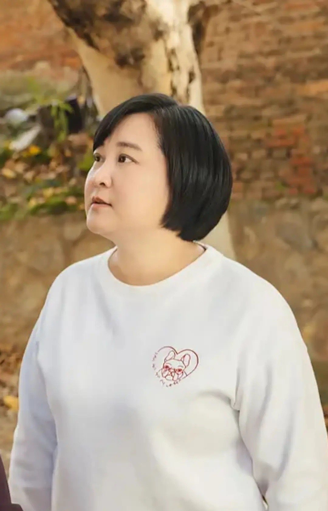 郑爽|吃了哑巴亏！《你好李焕英》票房超20亿，贾玲仅赚五千万