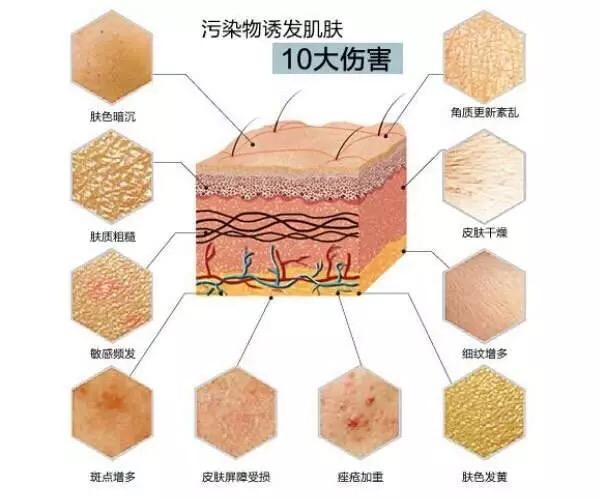 好物官|杨紫张一山同台，衬出杨紫皮肤水嫩如少女，护肤有何秘诀？