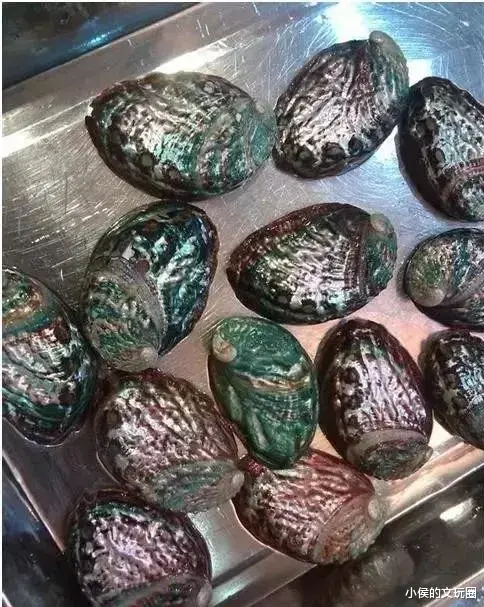 文玩|一条羊屎蛋手串盘了十五年，被人6000元买走了！