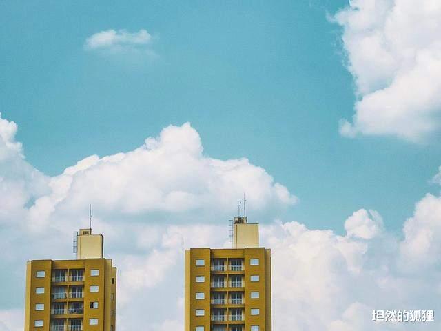 坦然的狐狸|八月，夏末临尽，相逢终有时