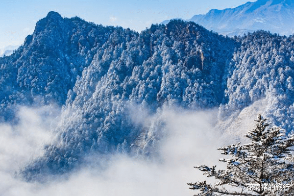 山西省 四川一4A级景区，“强制”游客消费，被爆料后，景区人气骤降