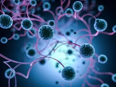 细胞界|科普:回输异体干细胞,病人所关心的都在这...