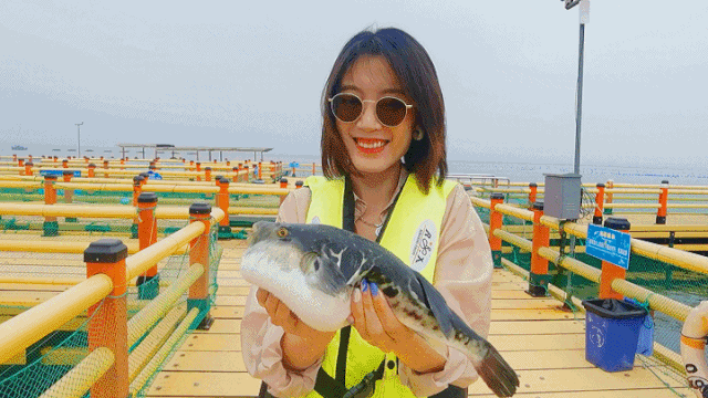 威海 山东威海1001km国内首条标准化自驾旅游公路,详细自驾游攻略来了