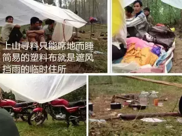 |那些文玩圈背后你不知道的事情