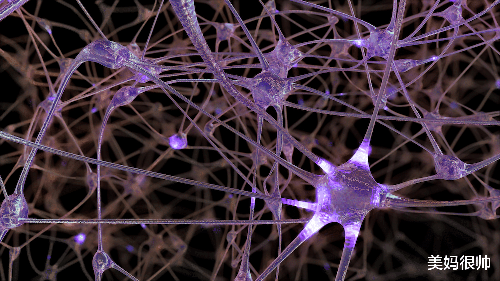 美妈很帅|6岁前大脑发育快，5大黄金食物要常吃，帮孩子提升聪明脑力