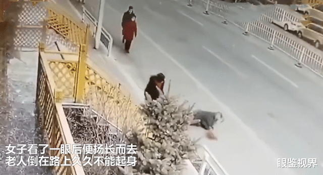 眼鉴视界 河北女子路边恶意推倒老人后续：嫌疑人已找到，有精神疾病已送医