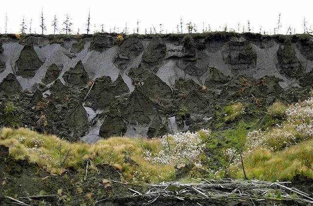狐猴 这些“古老病毒”，在冰川中存活15000年，至少20种人类从未见过