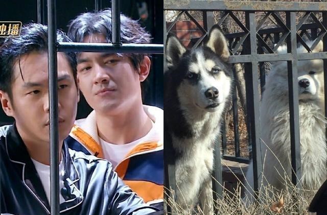 吴谨言|林更新吴奇隆再合作，以职场之名搞玛丽苏，吴谨言演现代剧真要命