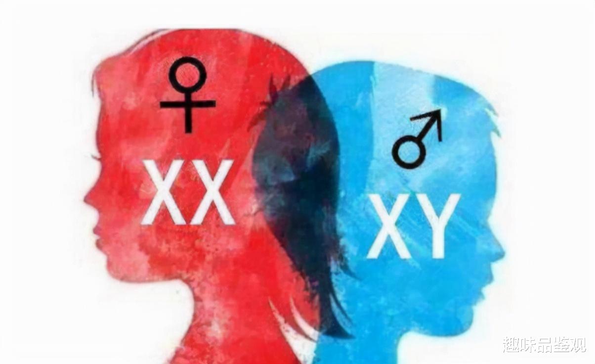 染色体|7000年前发生了什么？男女比例达到1：17，染色体产生了强烈瓶颈