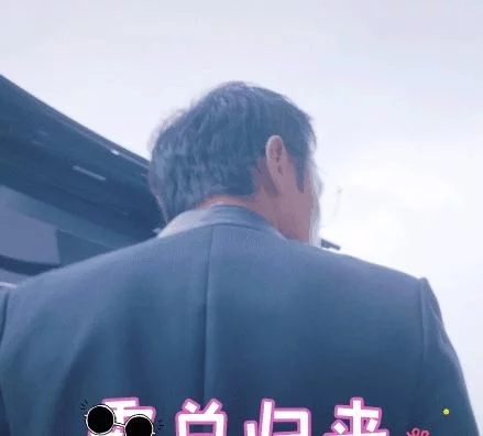 沈月|5月份已定档的6部剧，快看看你喜欢哪一部？